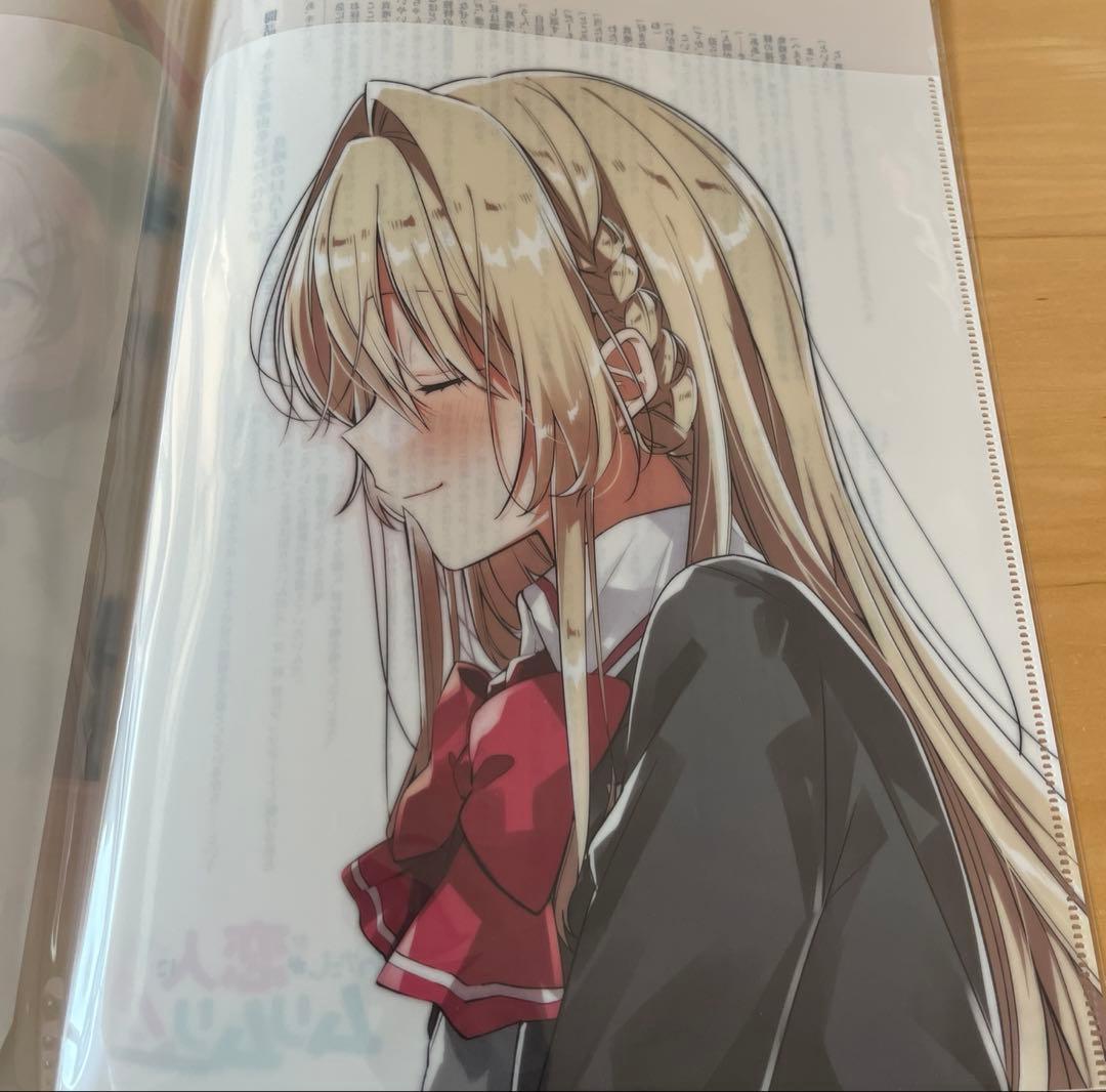 わたしが恋人になれるわけないじゃん　わたなれ　1巻アニメイト有償特典両面ファイル