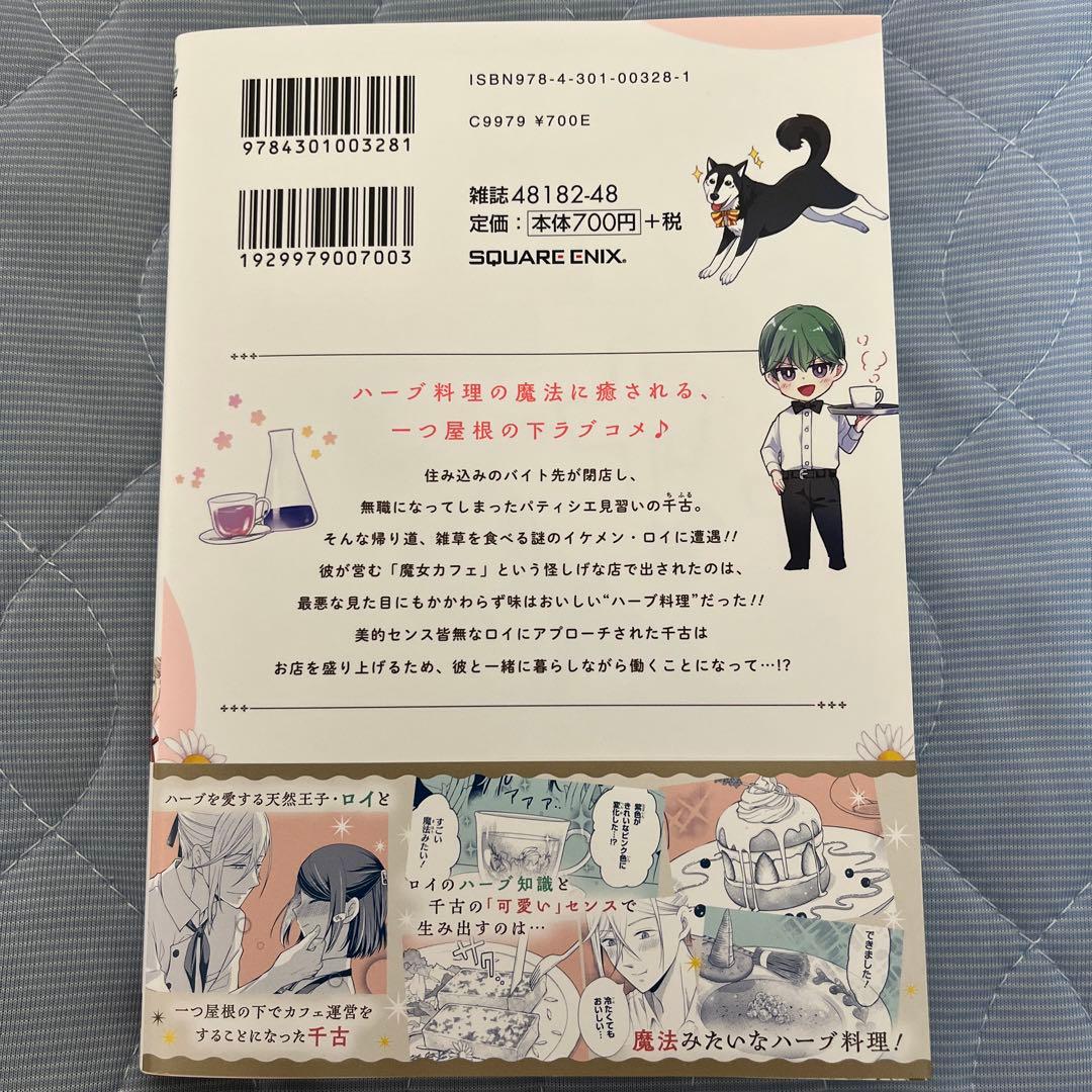 シャーロット～とある侍女の城仕え物語～(4)(完) 他