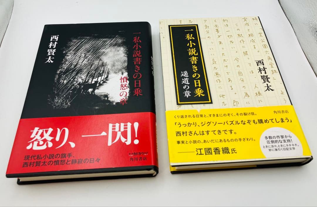 【希少】西村賢太　一私小説書きの日乗　8冊セット