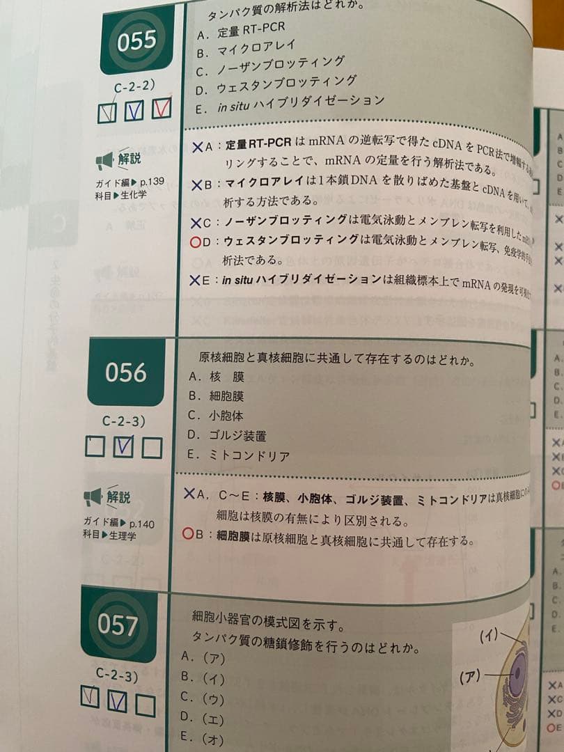 CBT PASS 問題集1 基礎系・連問＋問題集2 臨床系　第７版