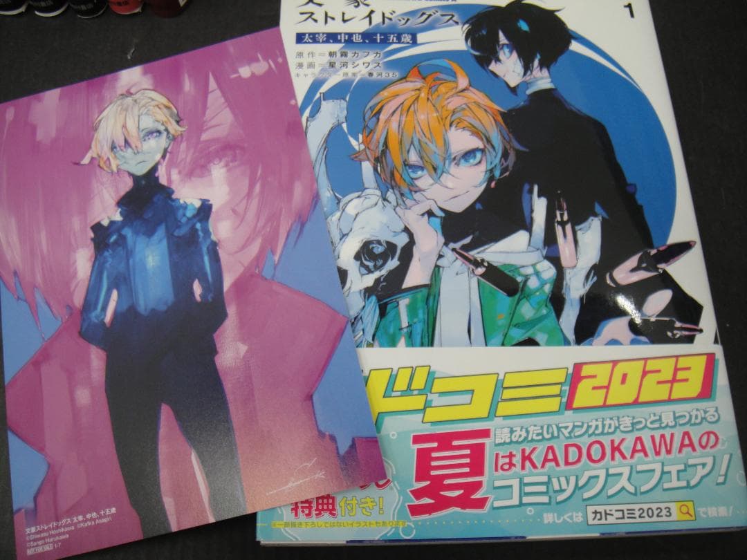 02⚫️ 文豪ストレイドッグス セット NA0119-1