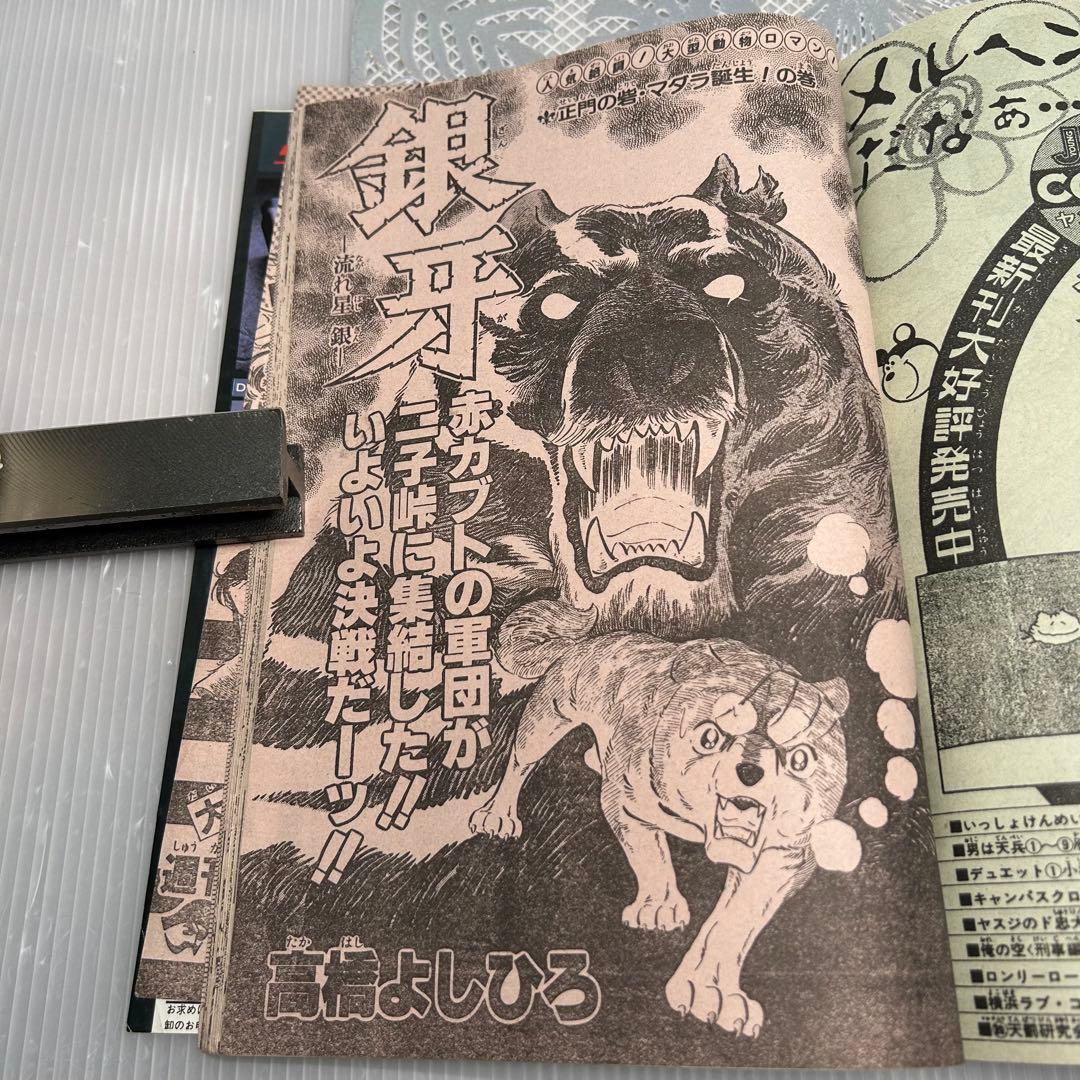 週刊少年ジャンプ 1984年5月7日　北斗の拳　鳥山明　ドクタースランプ