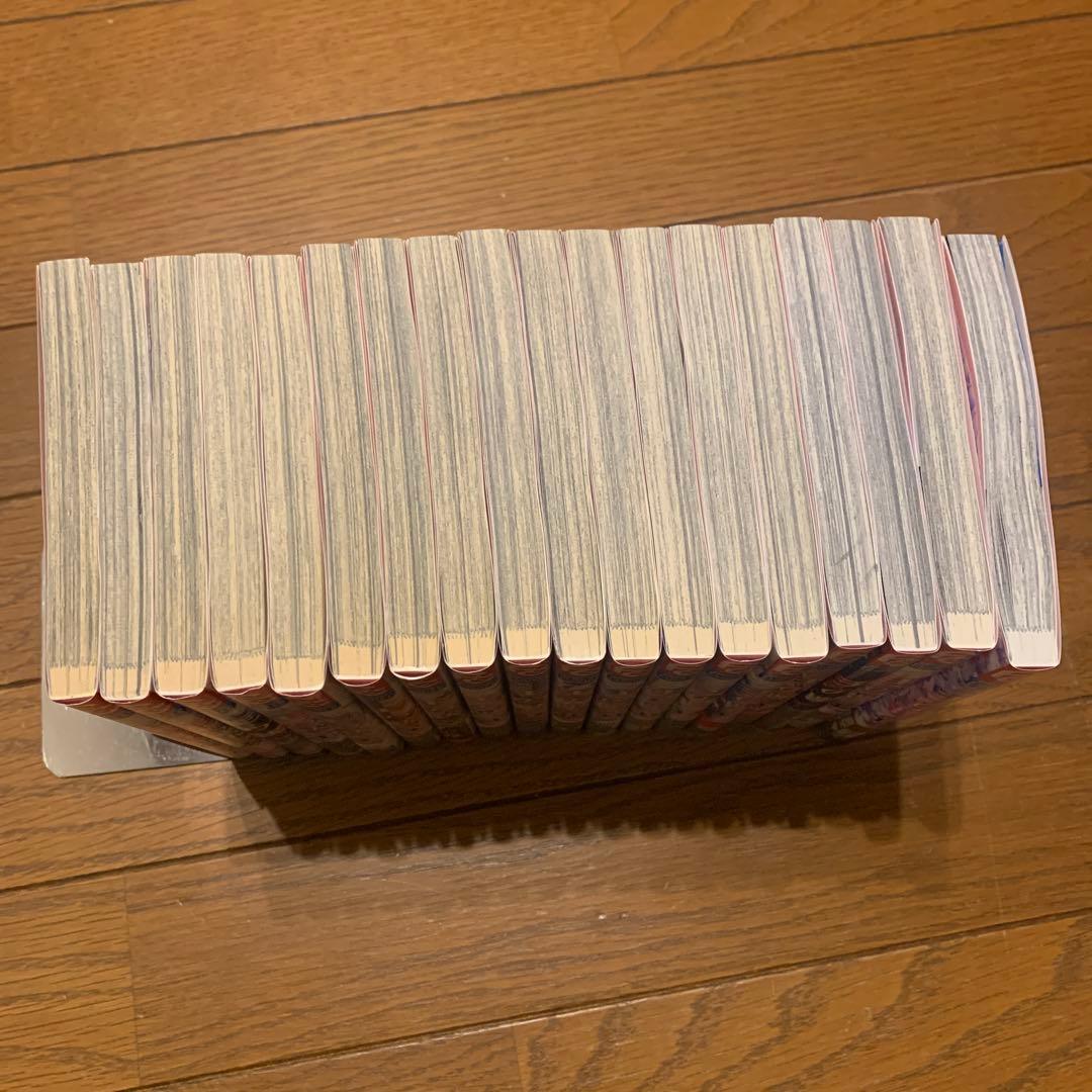 王の獣　 全18巻　＊　藤間麗