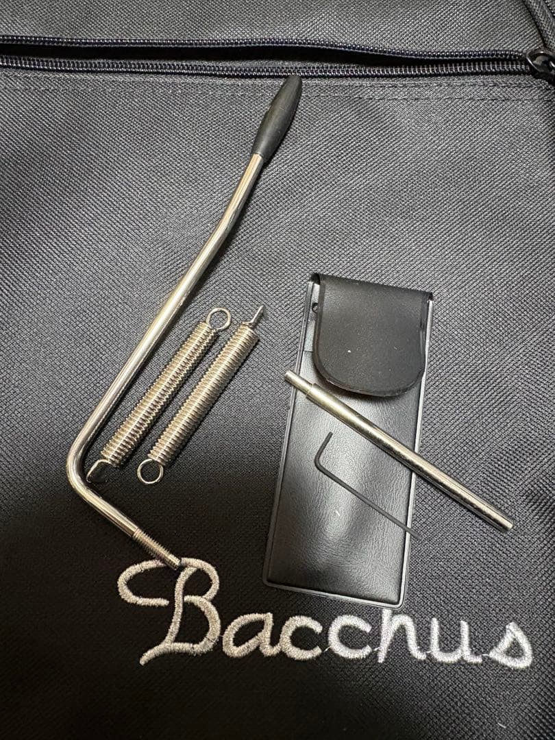 ギター Bacchus G-STUDIO Handmade Series