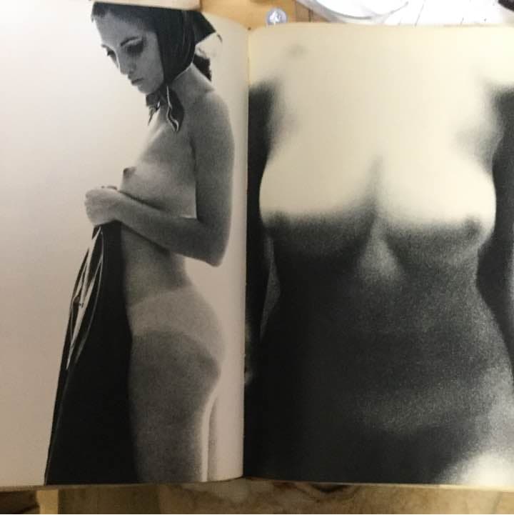 ノーベンバー・ガール