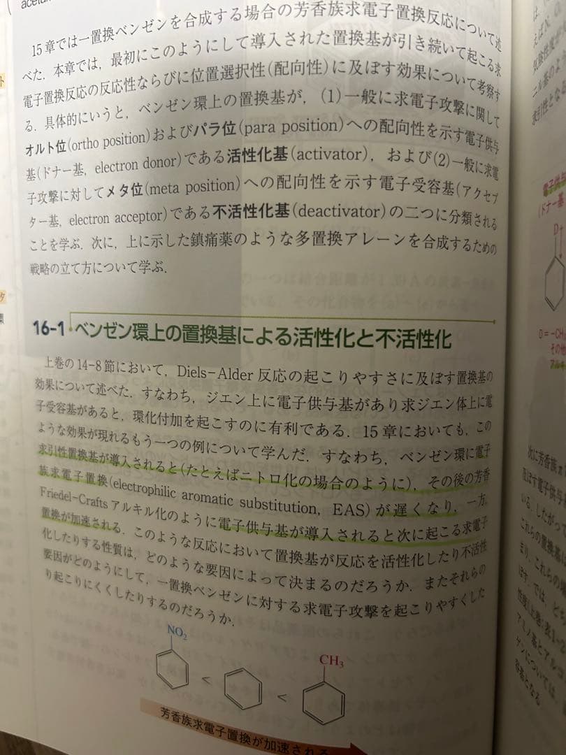 ボルハルトショアー 上下