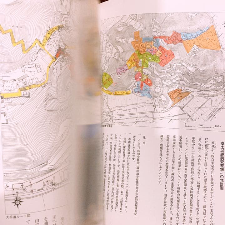 絶版・希少 図説 安土城を掘る : 発掘調査15年の軌跡