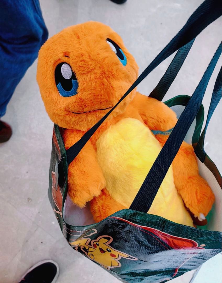 ヒトカゲ ぬいぐるみ 中国ポケモンセンター限定 未開封