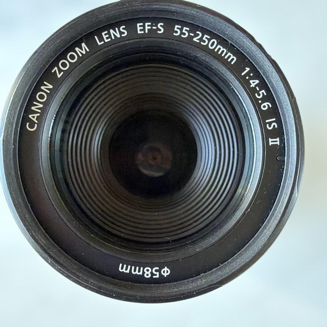 Canon EF-S 55-250mm ズームレンズ