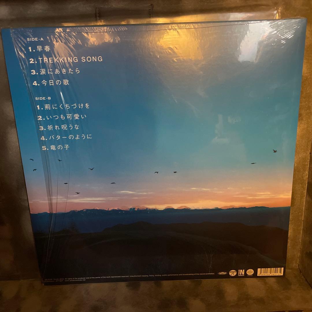 アナログレコード キリンジ kirinji Super view LP盤