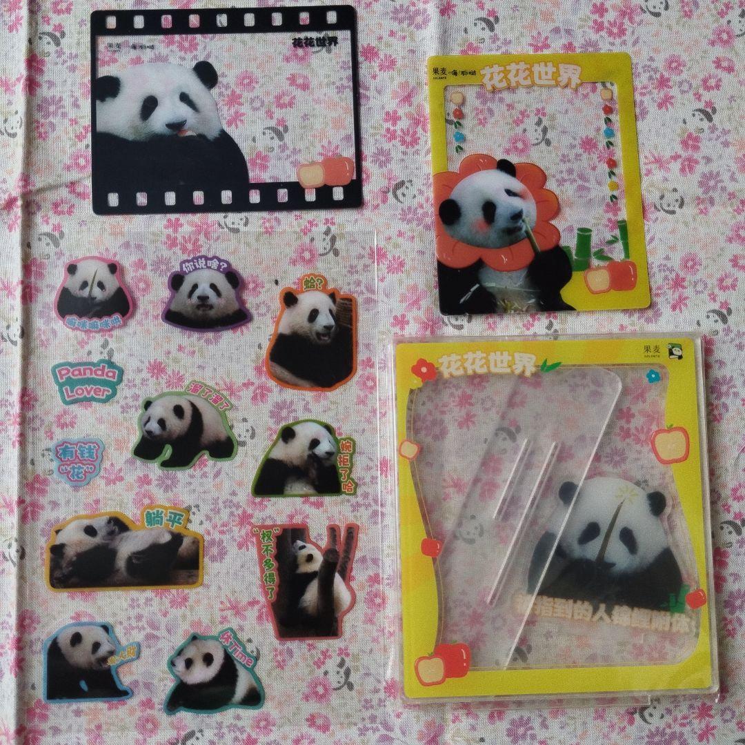 【レア品！新品•未使用品】和花ちゃん生誕5周年記念写真集「花花世界」
