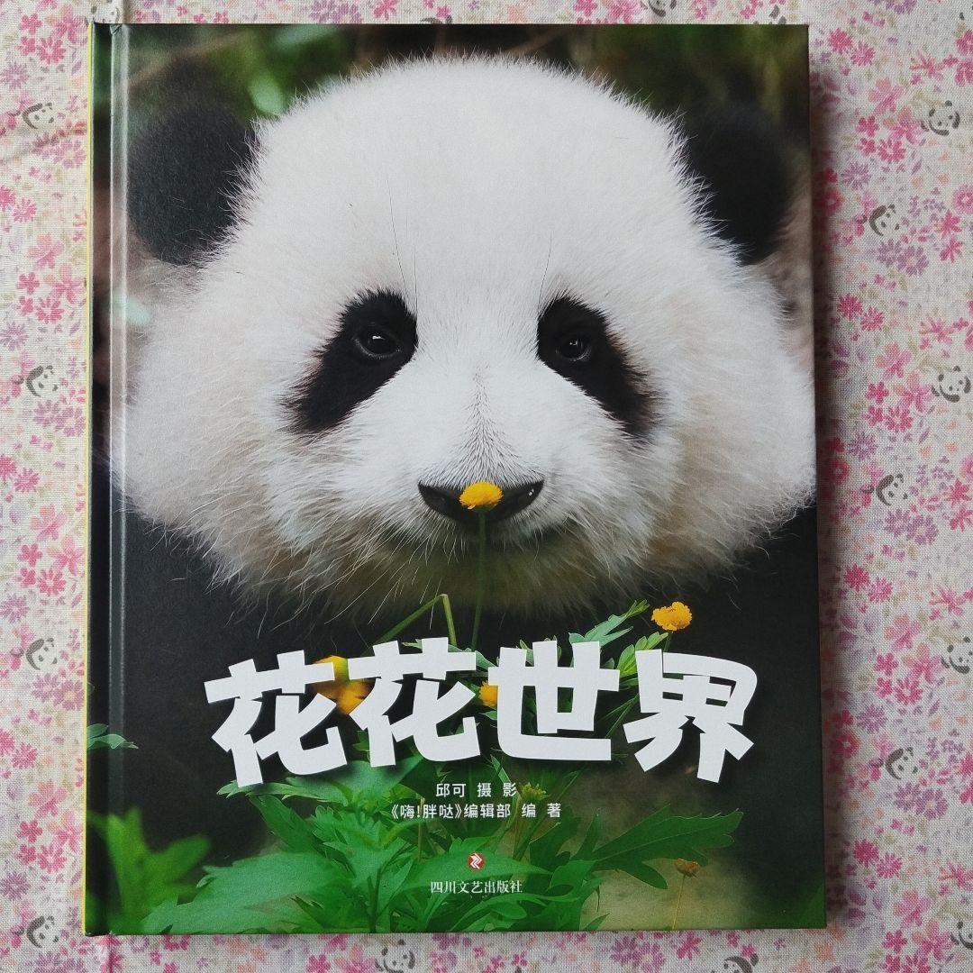 【レア品！新品•未使用品】和花ちゃん生誕5周年記念写真集「花花世界」