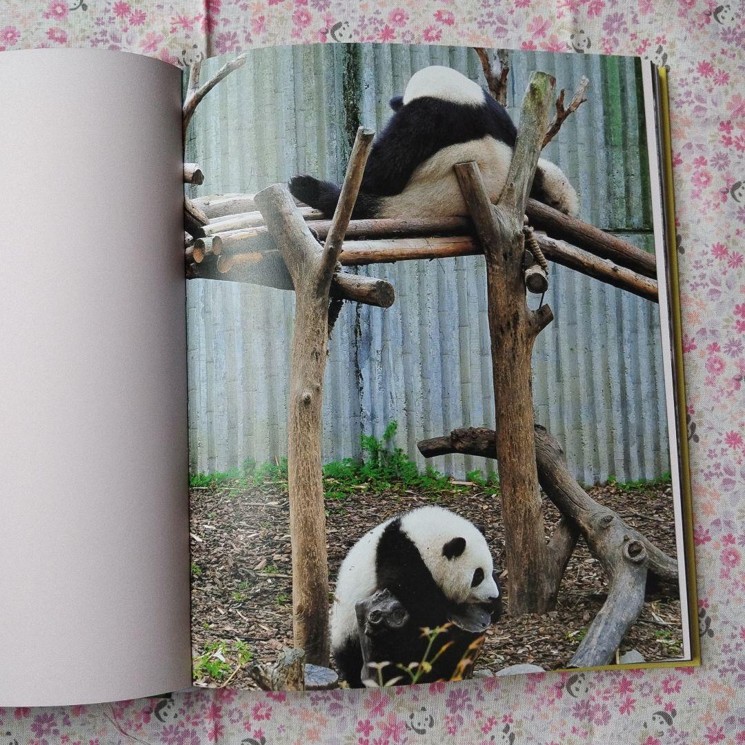 【レア品！新品•未使用品】和花ちゃん生誕5周年記念写真集「花花世界」