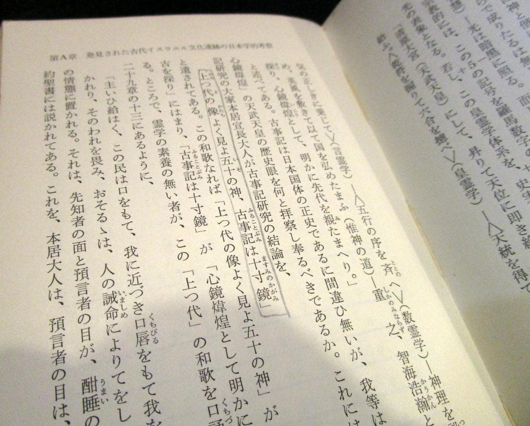 日本学とイスラエル　 武智時三郎著　人間新書　思兼書房