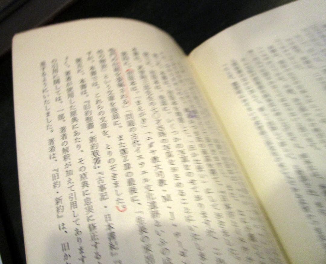 日本学とイスラエル　 武智時三郎著　人間新書　思兼書房
