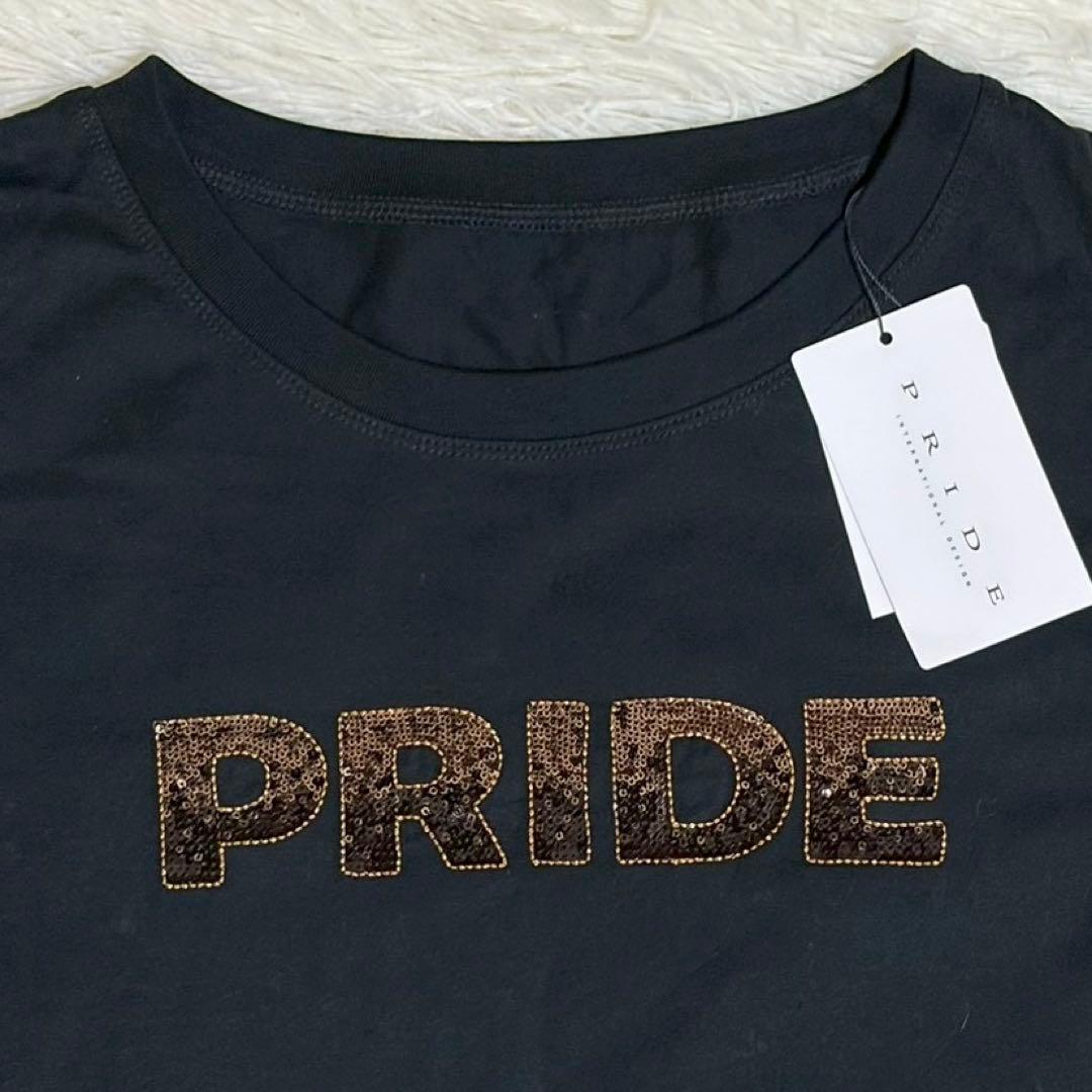 【新品未使用タグ付】PRIDE クルーネック 半袖 Tシャツ ブラック Lサイズ