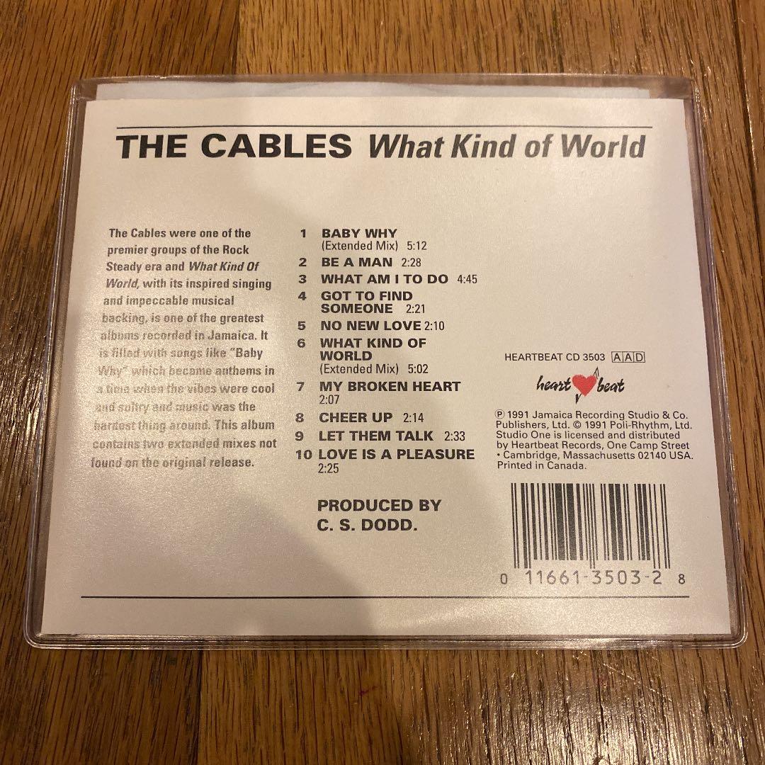 洋楽 Cables- What Kind Of World Studio One