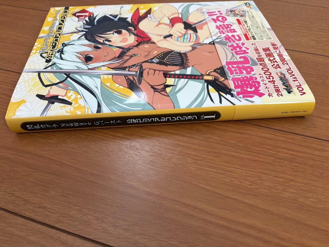 閃乱カグラ NewWave Gバースト 公式ビジュアルコレクション VOL.1