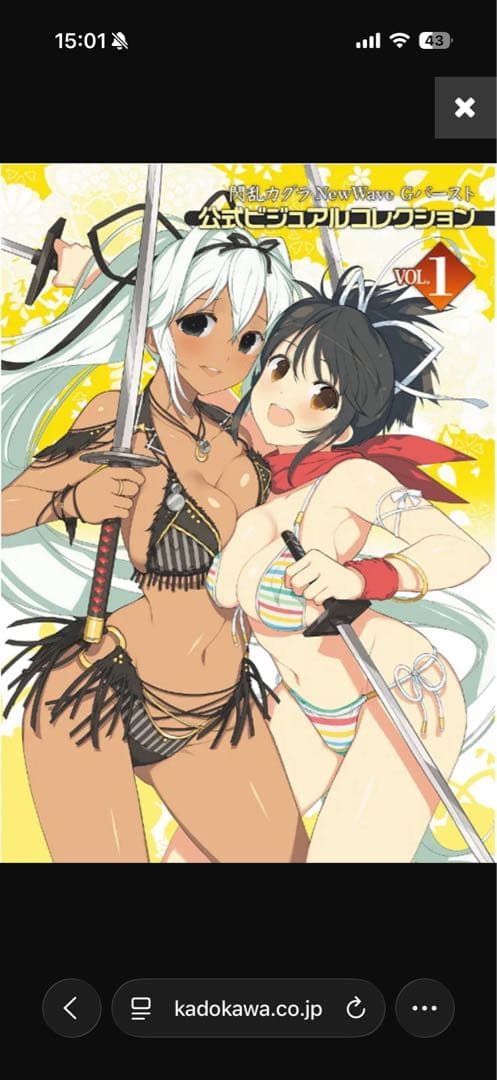 閃乱カグラ NewWave Gバースト 公式ビジュアルコレクション VOL.1