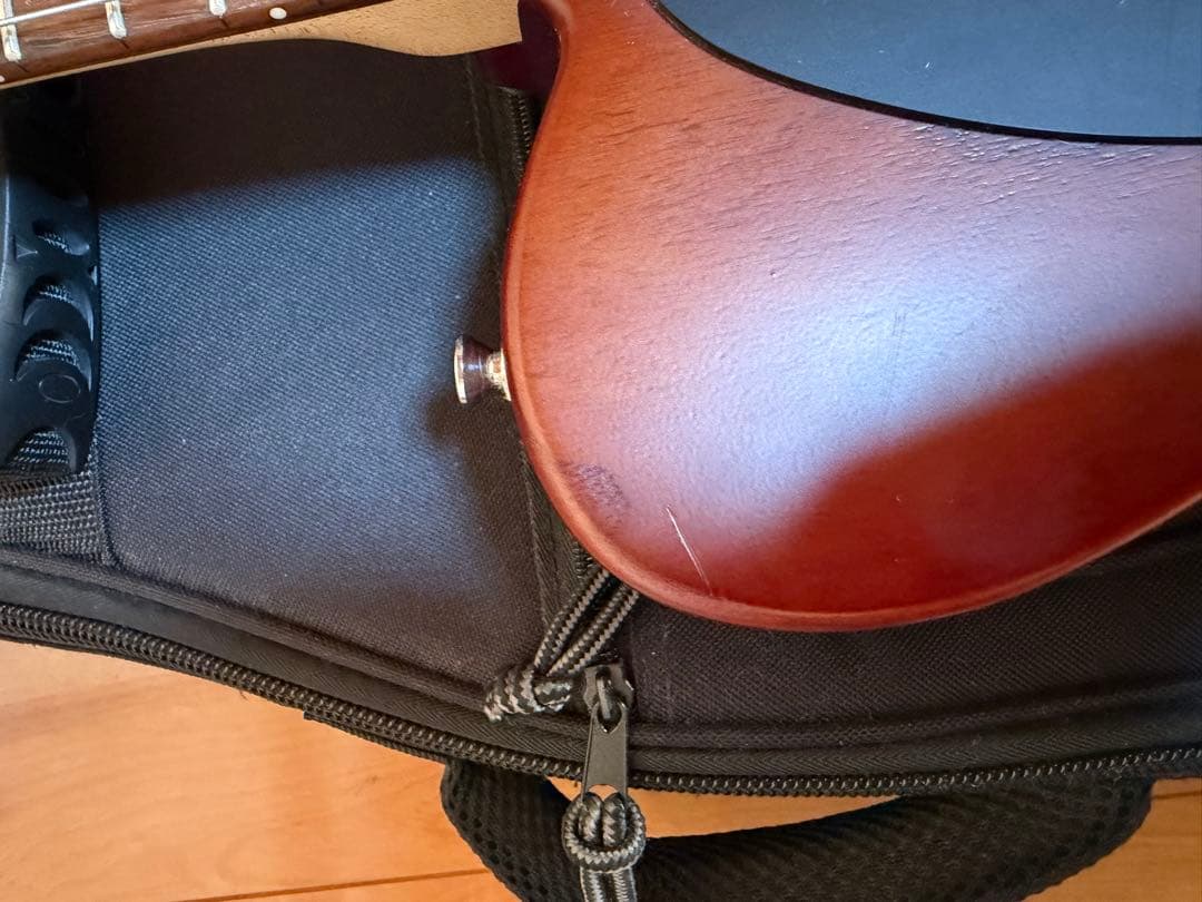ざ*ー様 SCHECTER PROGAUGE PS-S-PT ロック式ペッグ交換