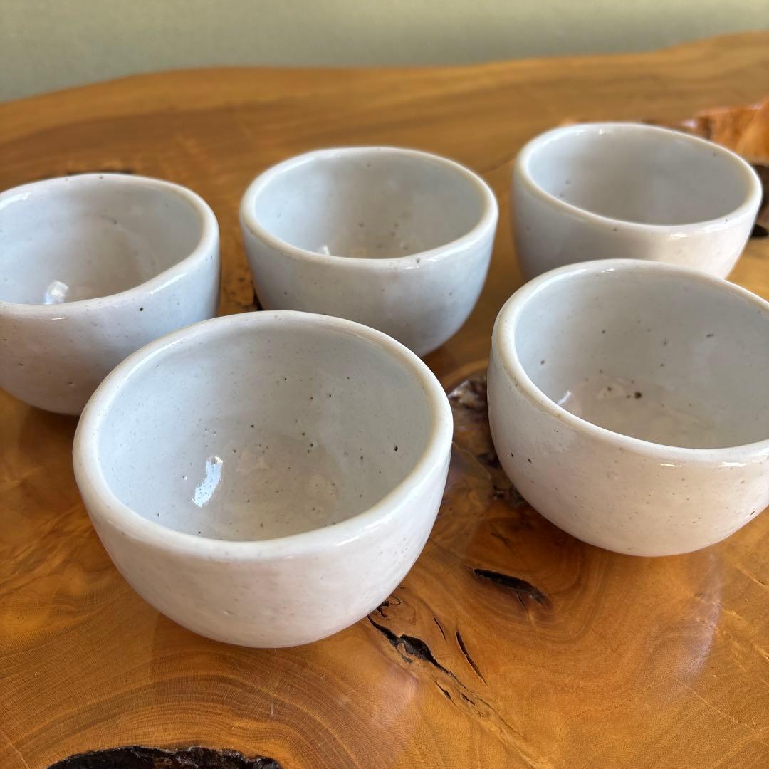 唐津焼　四代中野陶痴造　湯呑み5客揃　湯飲み　コップ　共箱
