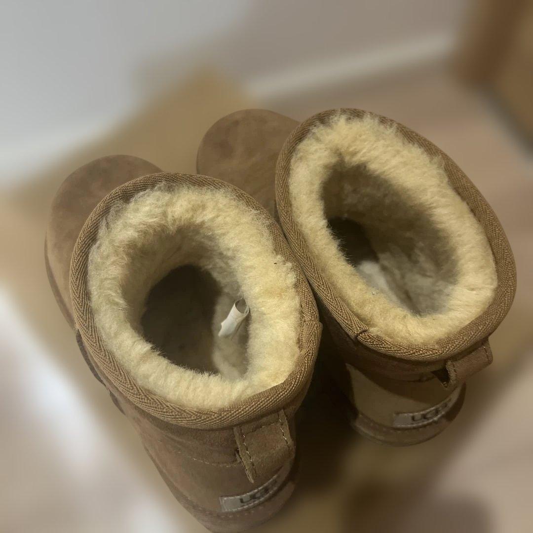 UGG アグ　クラシックミニ　チェスナット　7 24cm