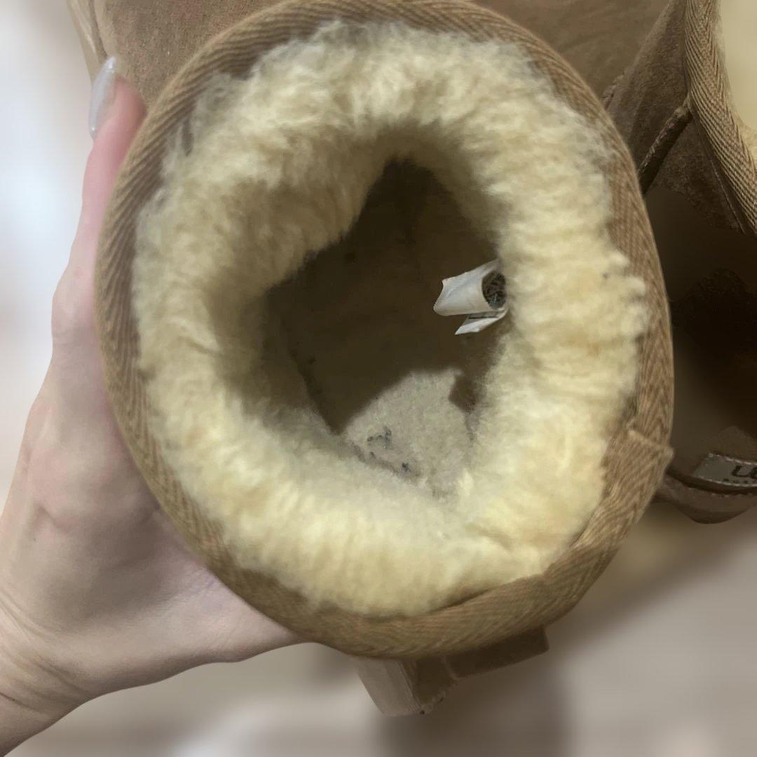 UGG アグ　クラシックミニ　チェスナット　7 24cm