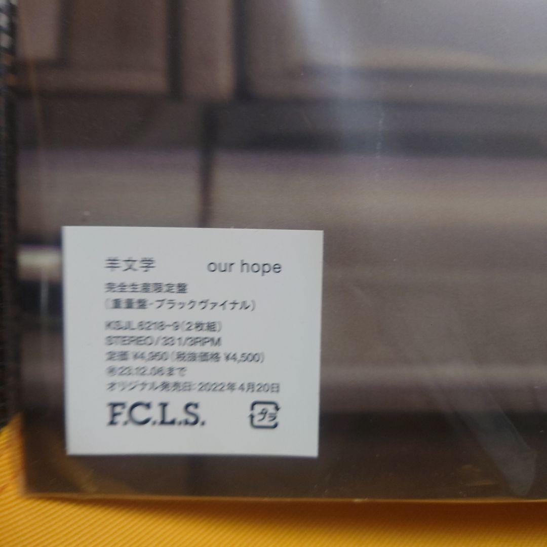 羊文学 our hope & 12 hugs 2枚セット レコード
