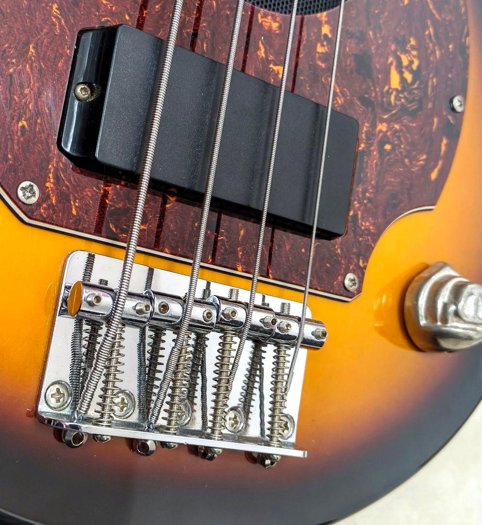 eito7【超美品】PIGNOSE アンプ内蔵ミニベース BS 専用ケース