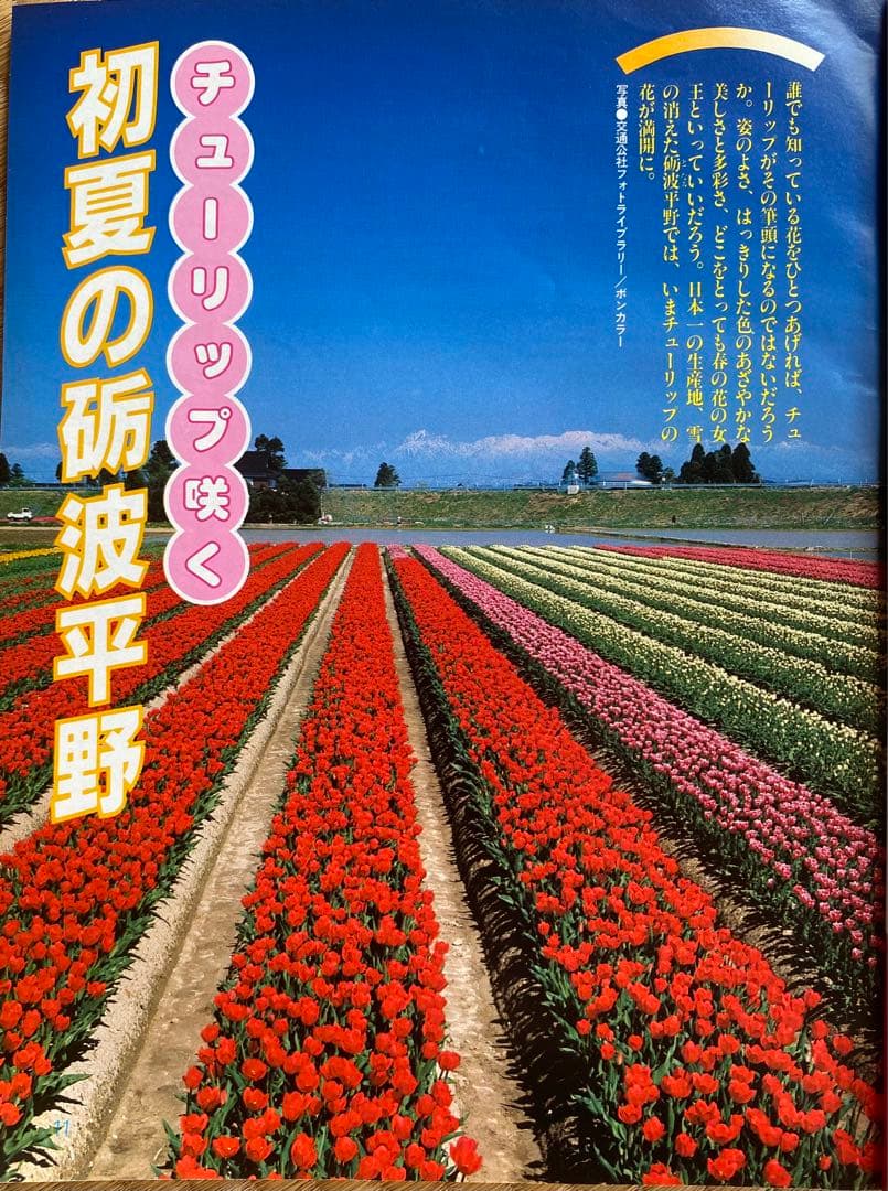 るるぶ 1983年5月号 風かおる富山・越後・佐渡