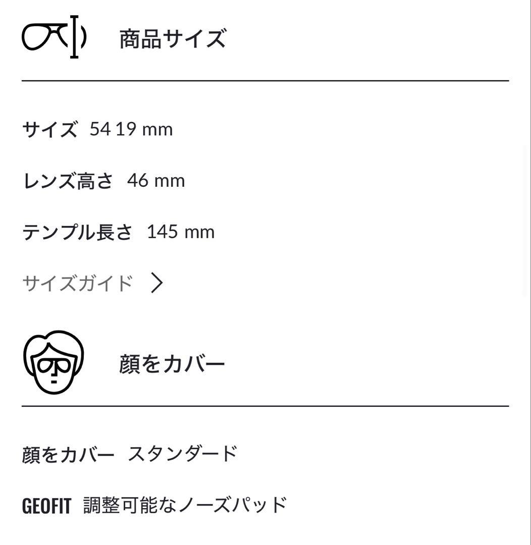 Ray-Ban ERIKA L サングラス 偏光レンズ　RB3539