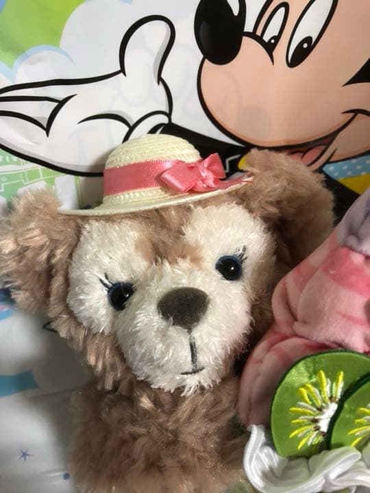 サニーファン  ダッフィー &シェリーメイ  パスケースセット