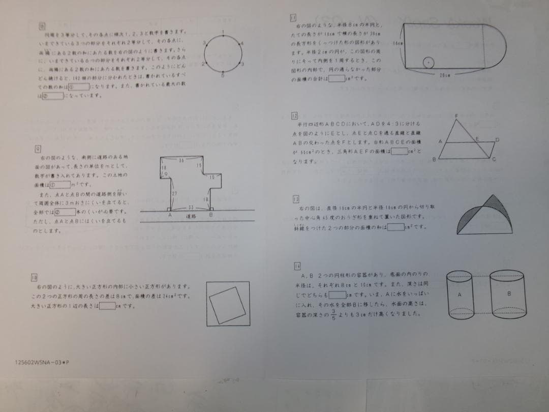 サピックス＊６年＊算数／土曜特訓プリント＊１７回＊灘 専用 （難関）＊２０２５年