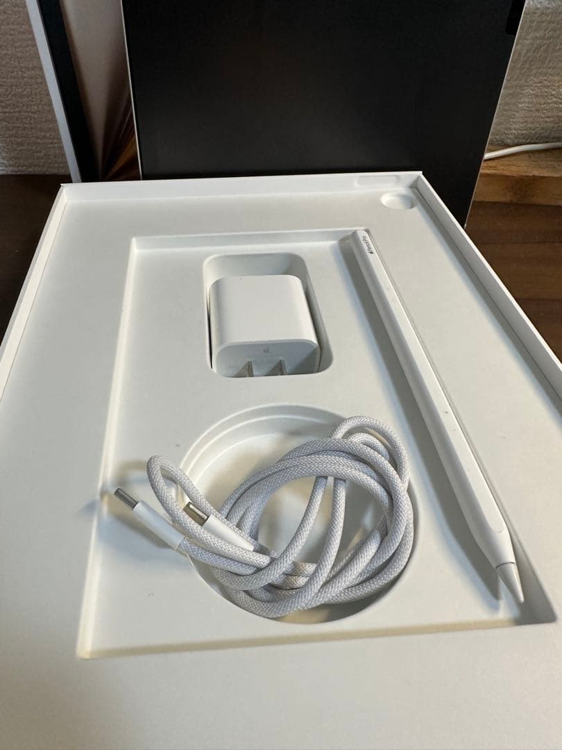 (最終値下げ!!)Apple iPad Air 256GB本体とpencil付き