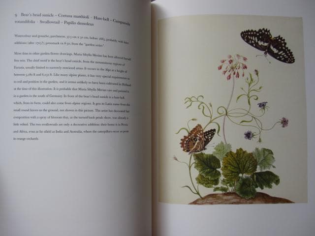 Maria Sibylla Merian　マリア・ジビーラ・メーリアン