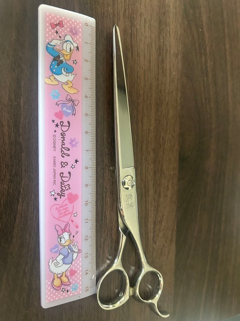 武芸　シザー