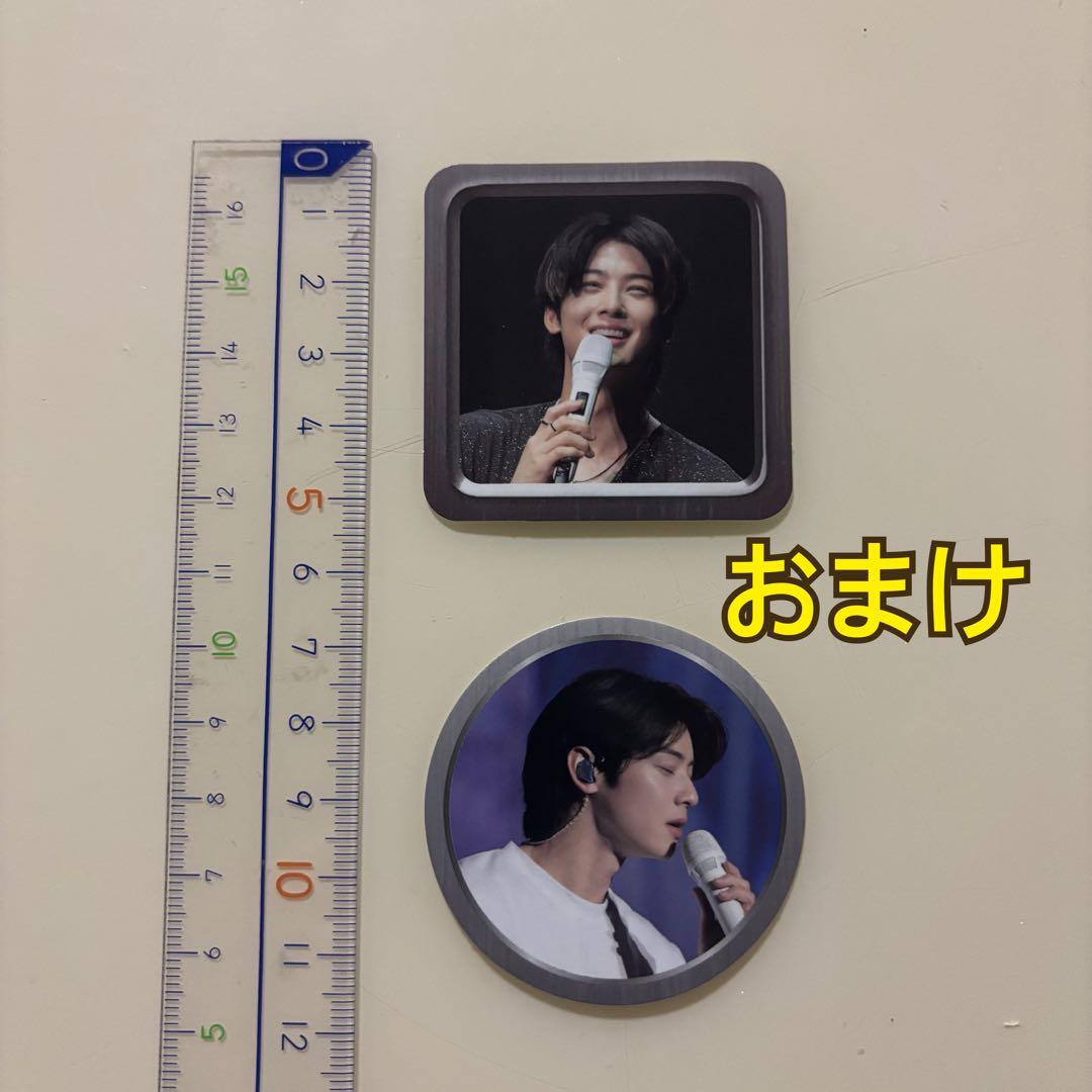 チャウヌ Mystery Elevator in Seoul DVD おまけ付き