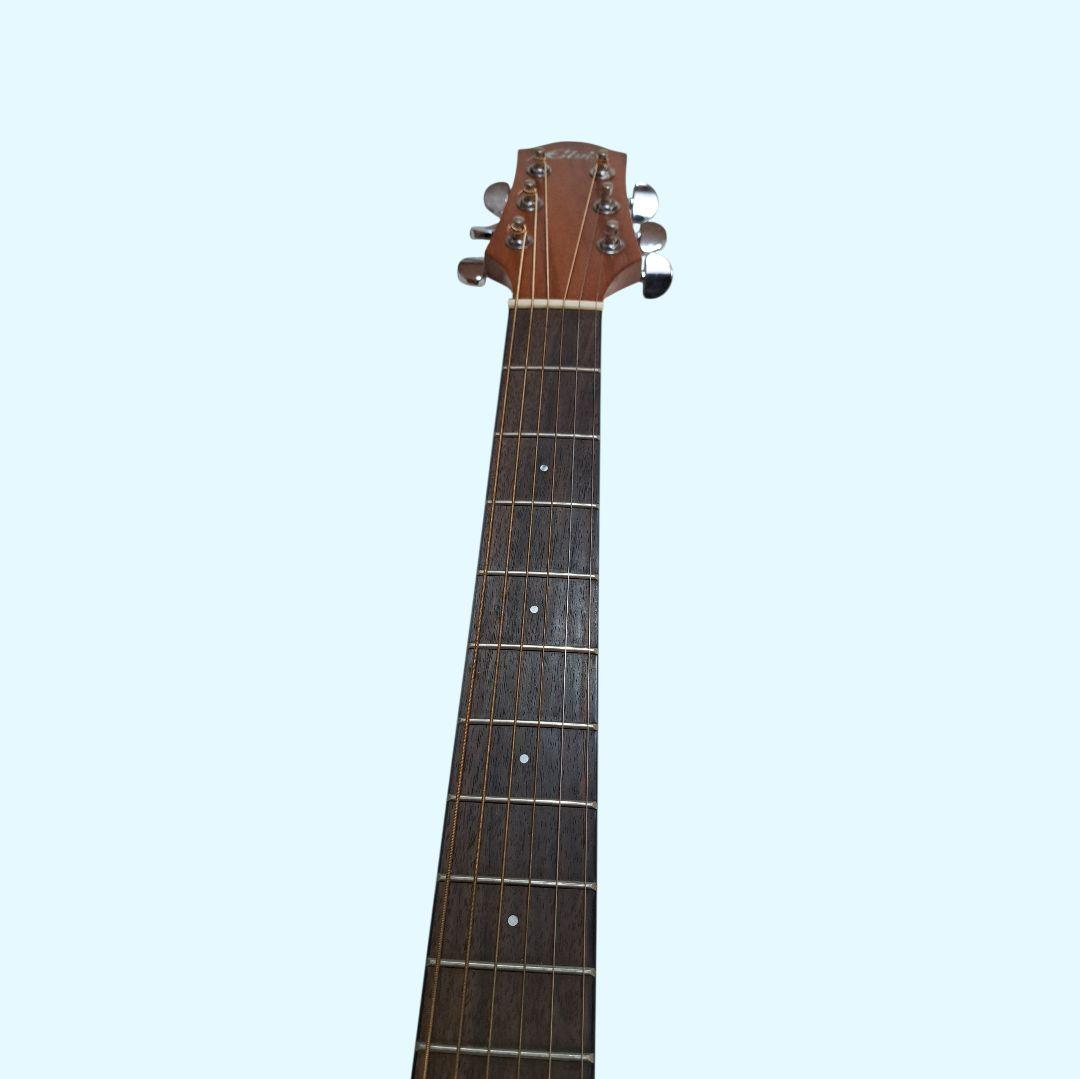 ✨美品✨Elvis 　Master 1　アコースティックギター 　ソフトケース付