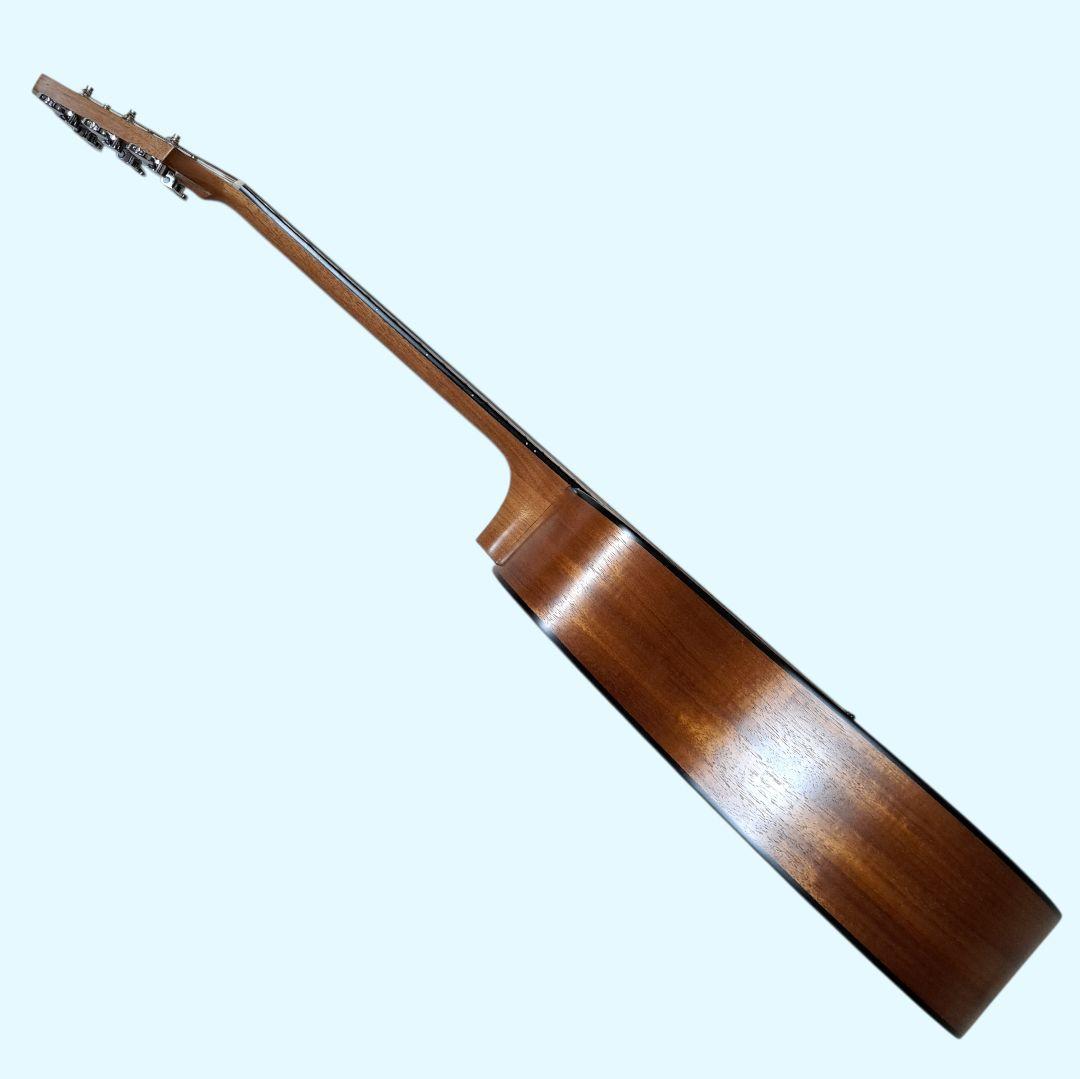 ✨美品✨Elvis 　Master 1　アコースティックギター 　ソフトケース付