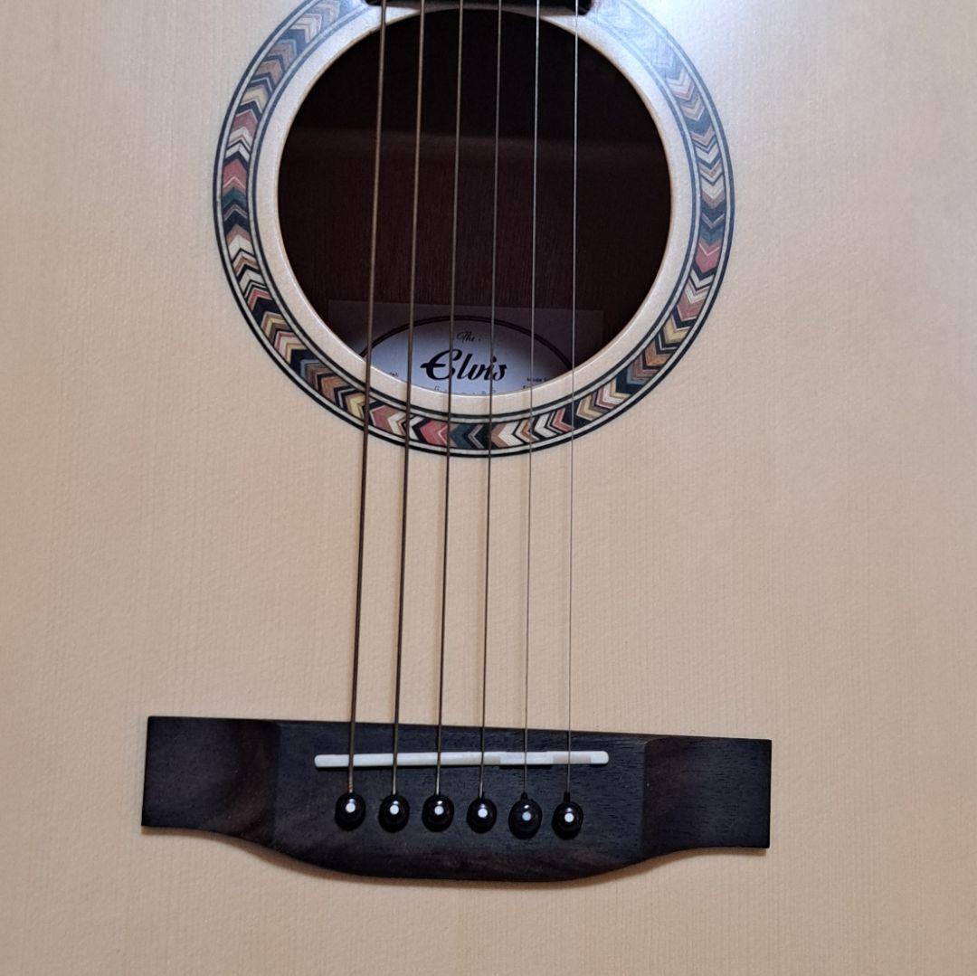 ✨美品✨Elvis 　Master 1　アコースティックギター 　ソフトケース付