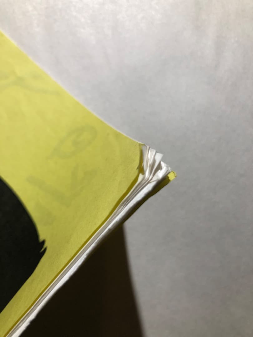激レア 限定20部 DISKAH ZINE スケート ストリートアート