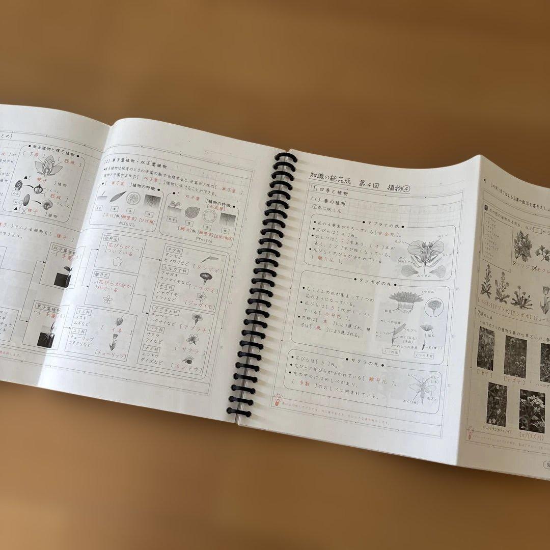プ*a様 知識の総完成　理科　SAPIX 欠番なし　フルセット