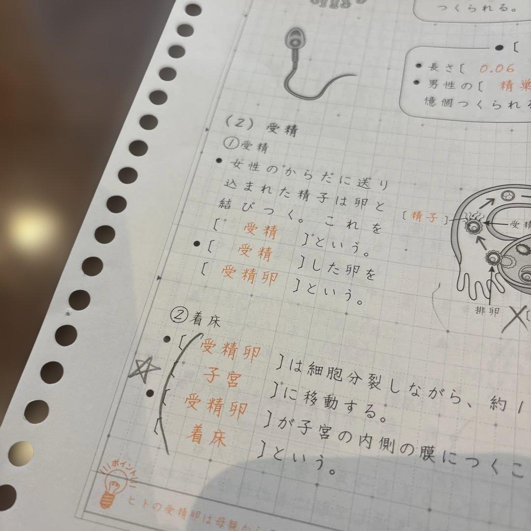 プ*a様 知識の総完成　理科　SAPIX 欠番なし　フルセット