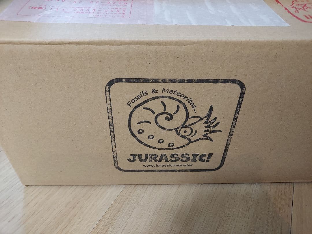 プレシオサウルス 脊椎化石
