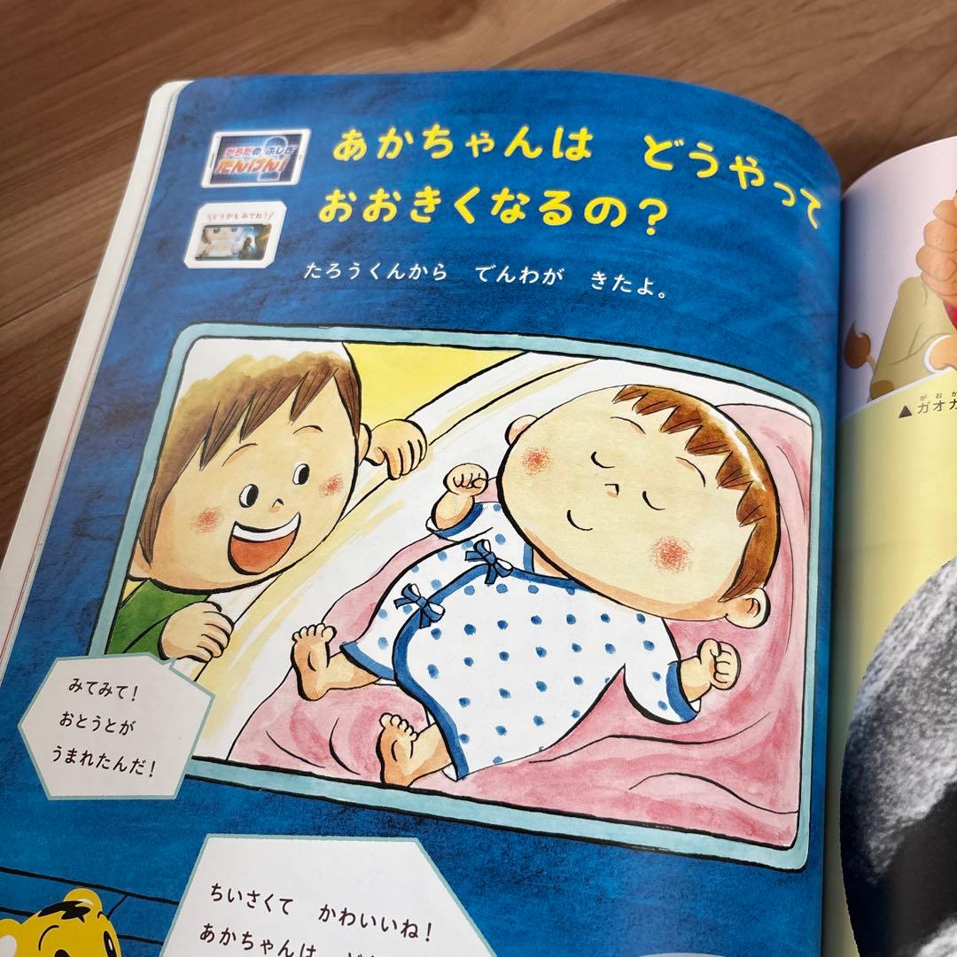 Yukari様　こどもちゃれんじ　すてっぷ　4、5歳　しまじろう　幼稚園児
