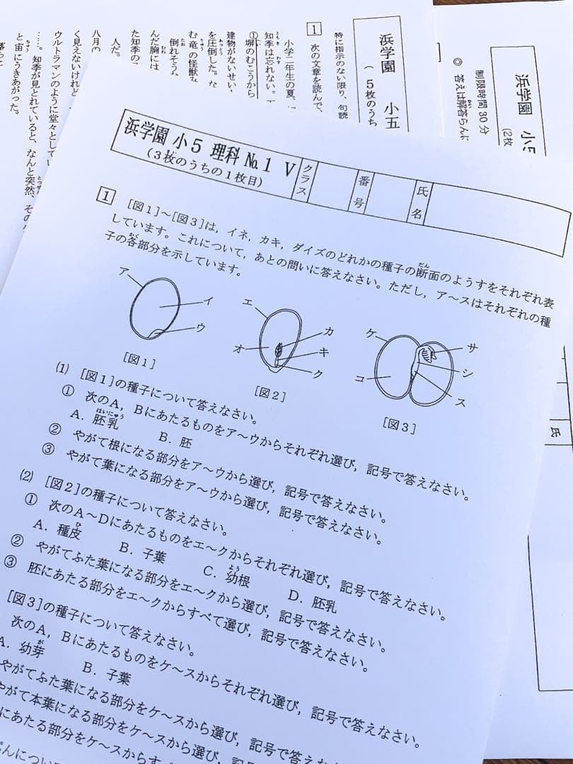 【NEW】浜学園　小5  2023年度 算数 Vクラス復習テスト