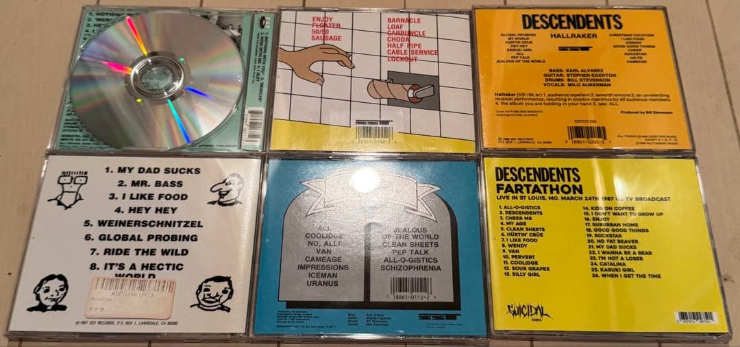 DESCENDENTS CDコレクション12枚