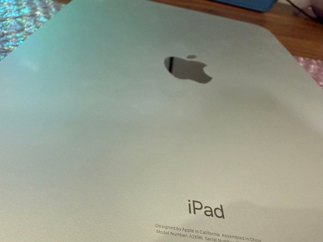 や*ん様 Apple iPad 第10世代 10.9インチ 64GB シルバー本