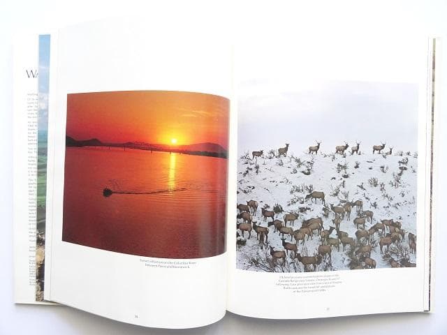 洋書◆ワシントン写真集 本 アメリカ 自然 風景 景色