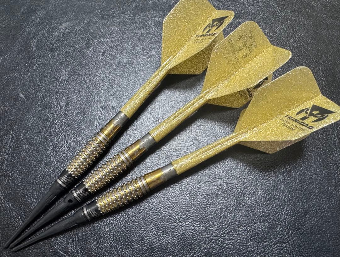 激レア トリニダード ロペス タイプ4 浅田斉吾モデル チャンピオンリミテッド